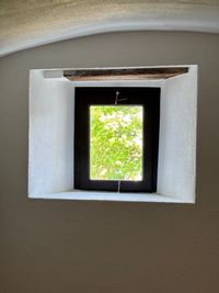 IMG-20260519-WA0004